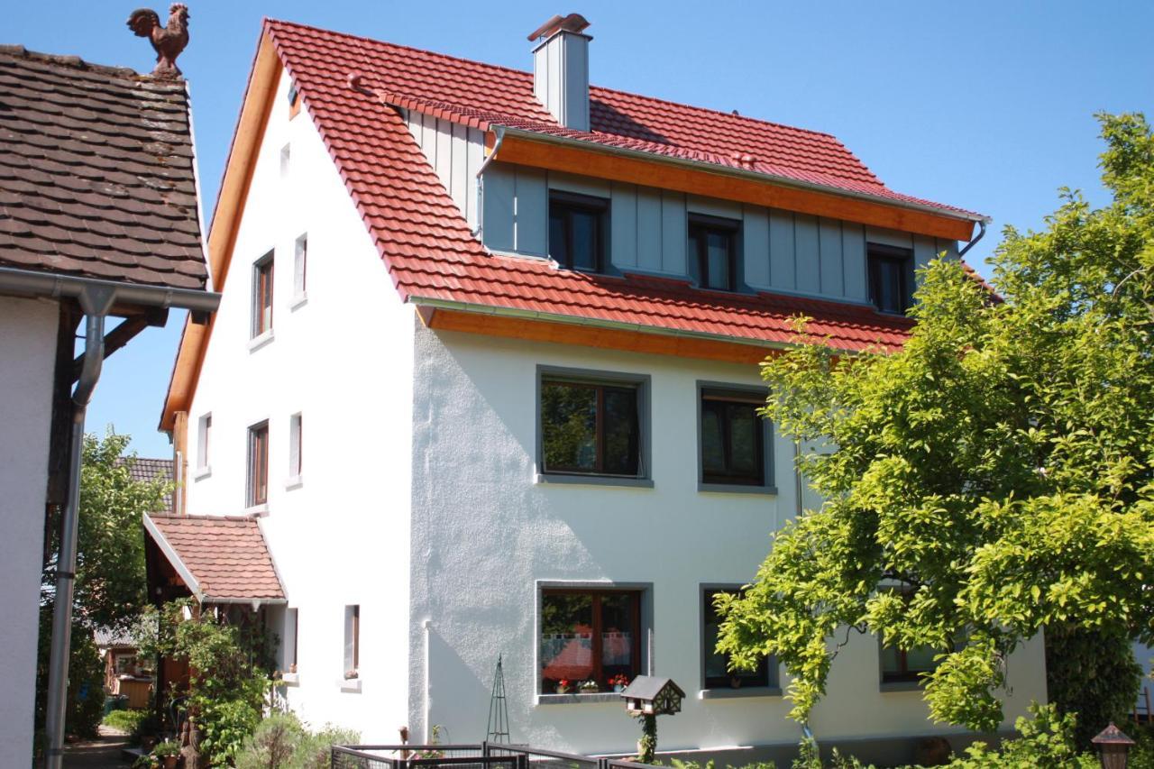 Gaestehaus Wacker Apartment Ringsheim Bagian luar foto