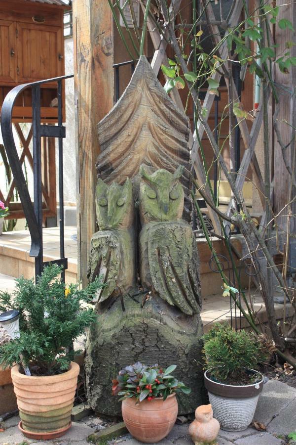 Gaestehaus Wacker Apartment Ringsheim Bagian luar foto